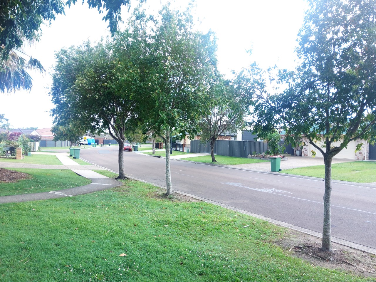 Little Mountain, QLD, Residential street with houses and green bins