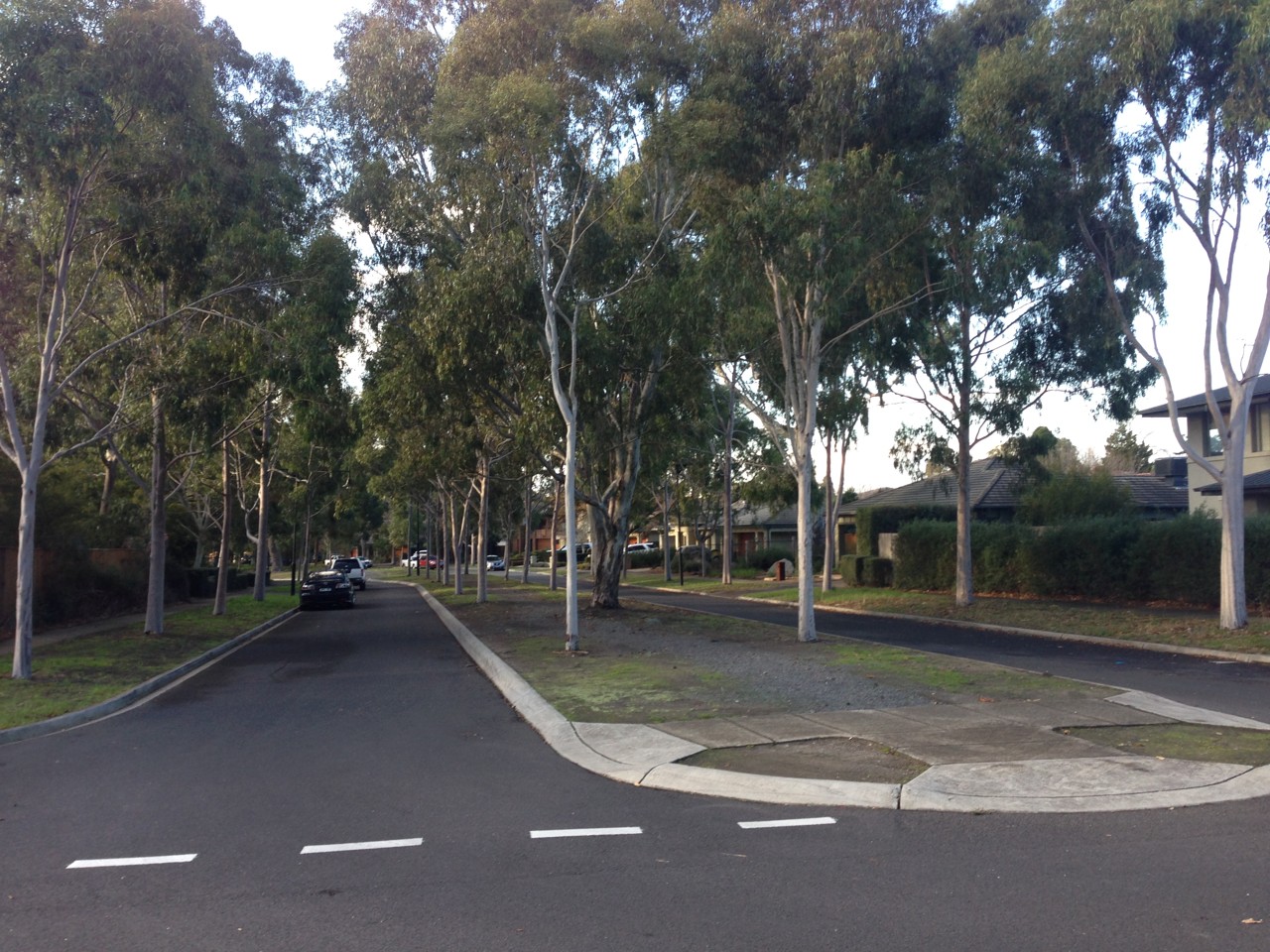 Macleod, VIC, Tree-lined suburban residential street with parked cars