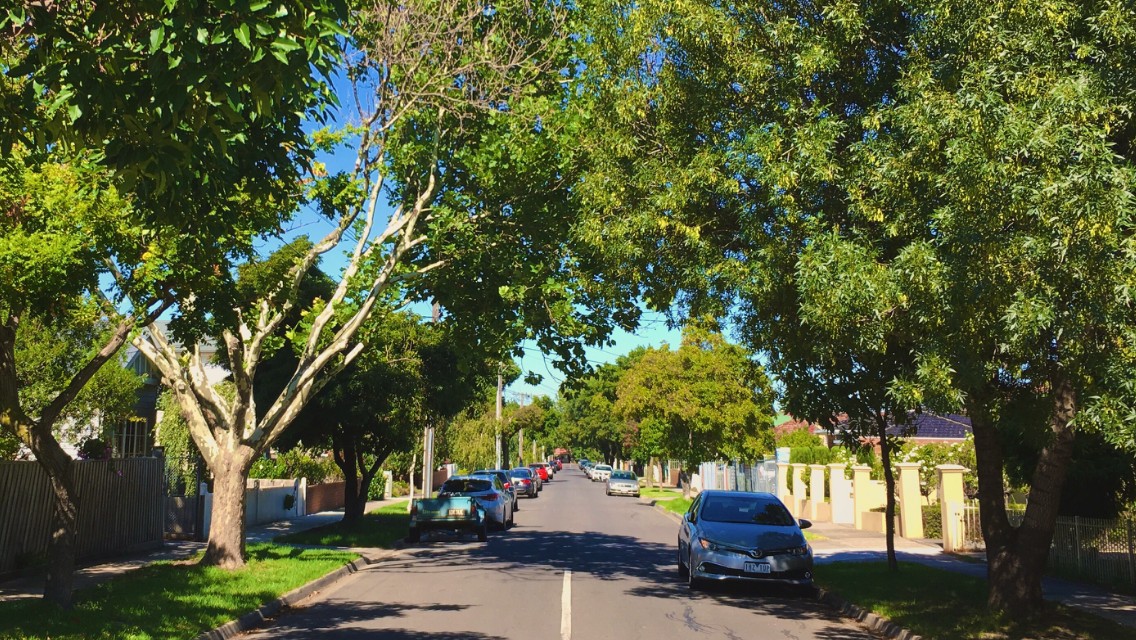 Maidstone, VIC, Tree-lined residential street with parked cars