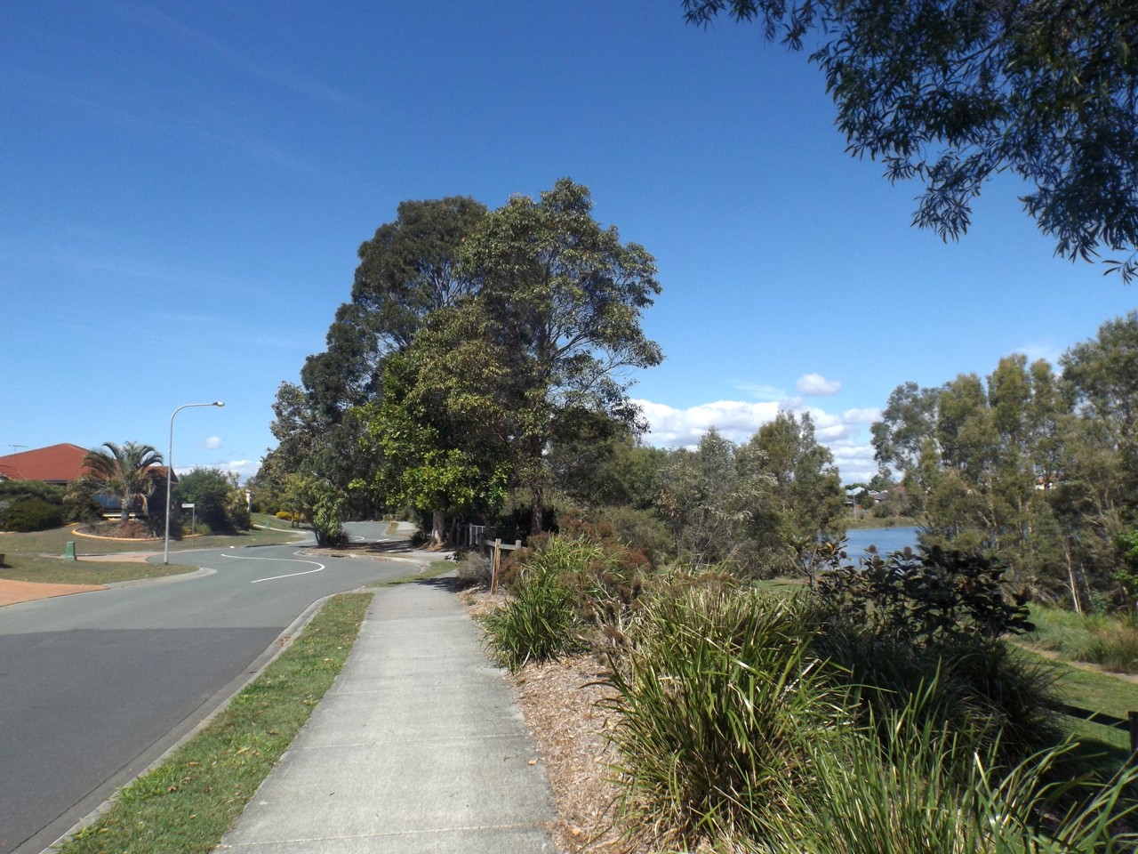 Mango Hill, QLD, Paved footpath beside suburban road and greenery