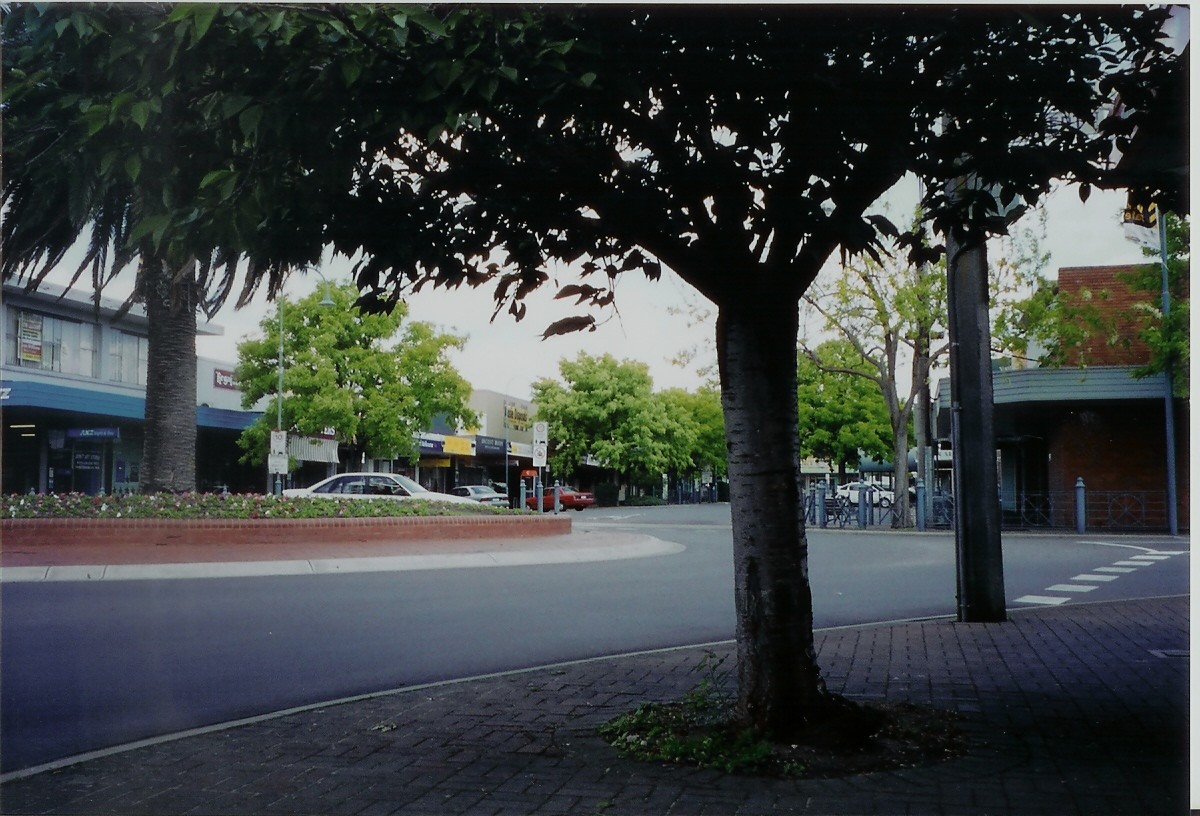 Moe, VIC, Shops and street view lined with trees