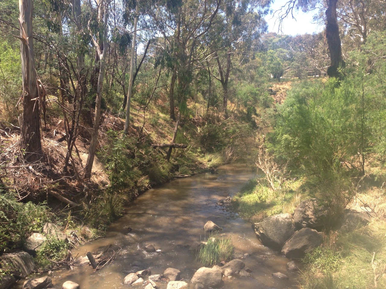 Montmorency, VIC, Bushland creek with rocks and eucalyptus trees