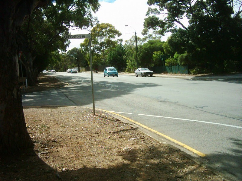 Morphett Vale, SA, Cars on a tree-lined suburban street