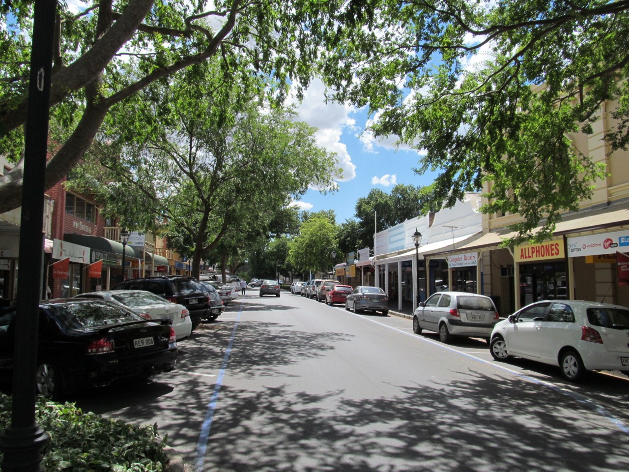 Mount Barker, SA, Tree-lined main street with parked cars