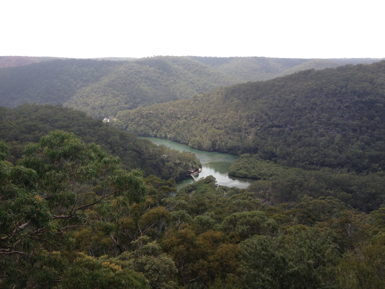 Mount Colah, NSW, Berowra Creek winding through forested hills