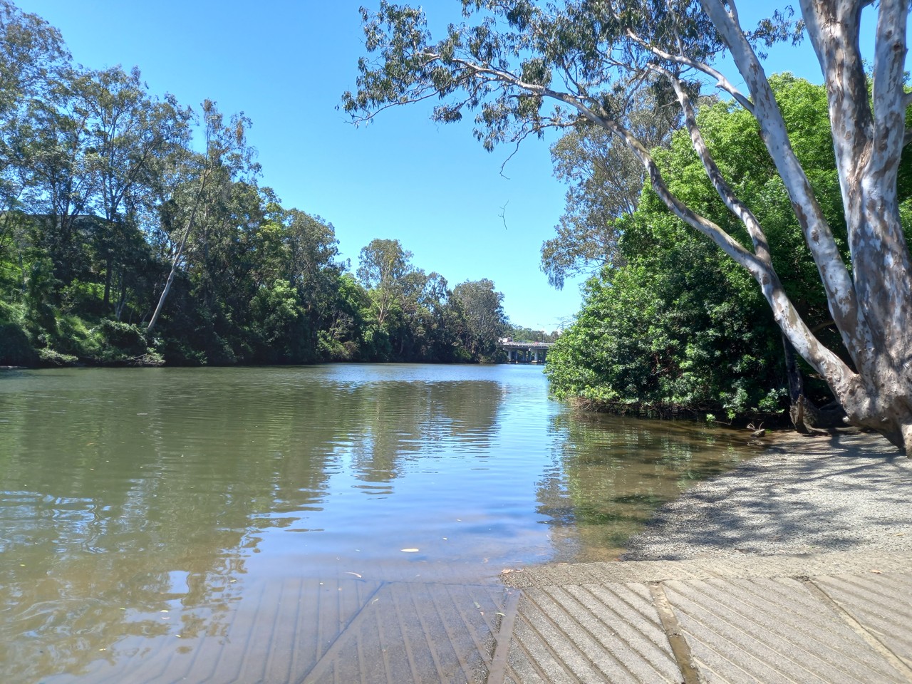Nerang, QLD, Boat ramp by a wooded riverbank