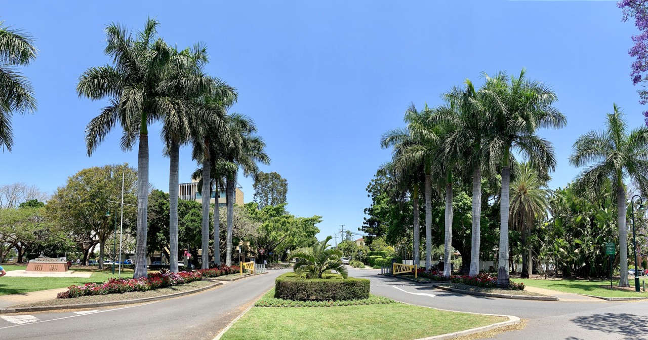 New Farm, QLD — Palm-lined street with central garden roundabout