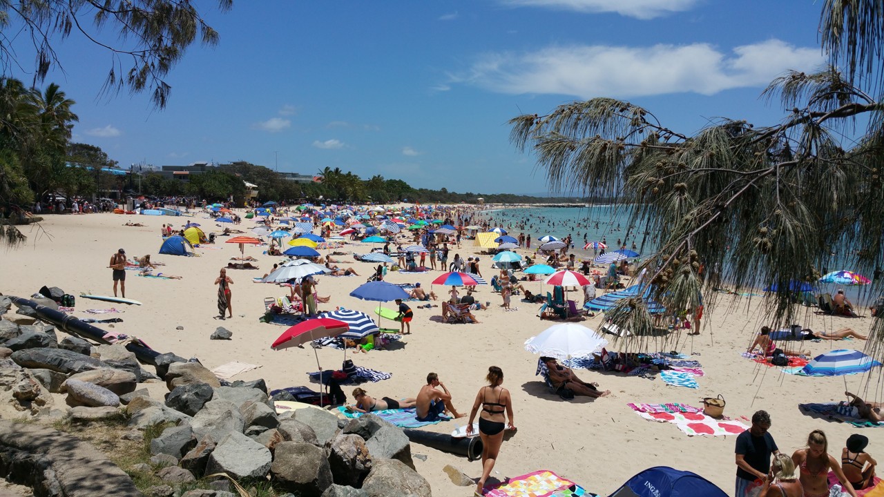 Noosa Heads, QLD, Crowded sandy beach with sunbathers and umbrellas