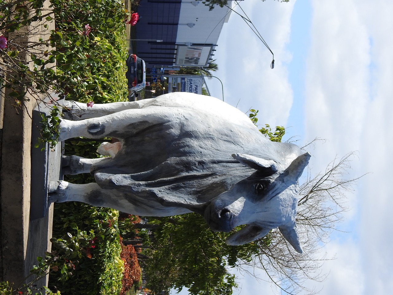 Norman Gardens, QLD, Bull statue with trees and building nearby