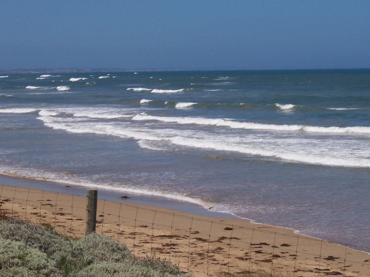 Ocean Grove, VIC, Waves breaking on sandy ocean beach