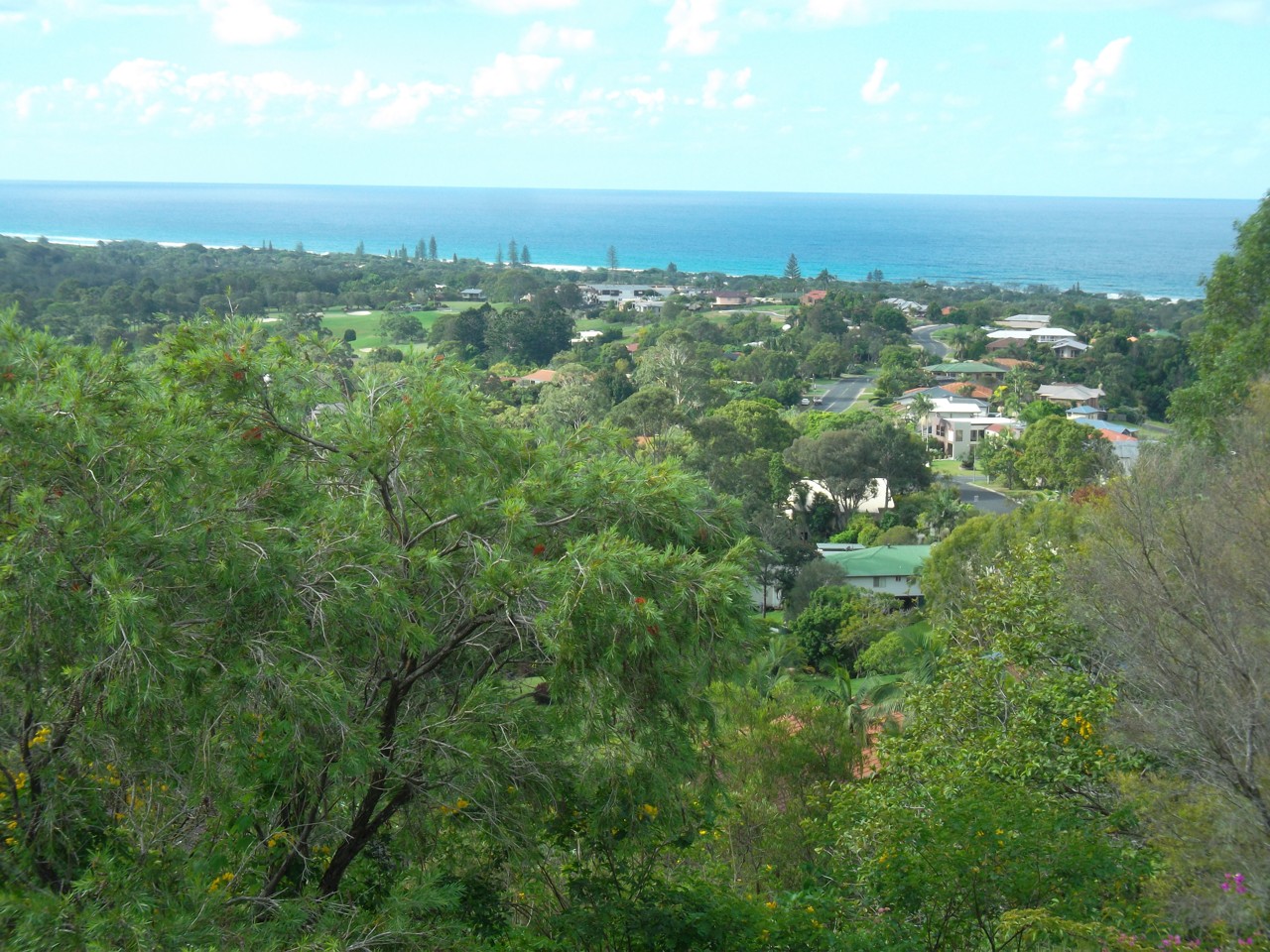 Ocean Shores, NSW, View of trees and distant ocean horizon
