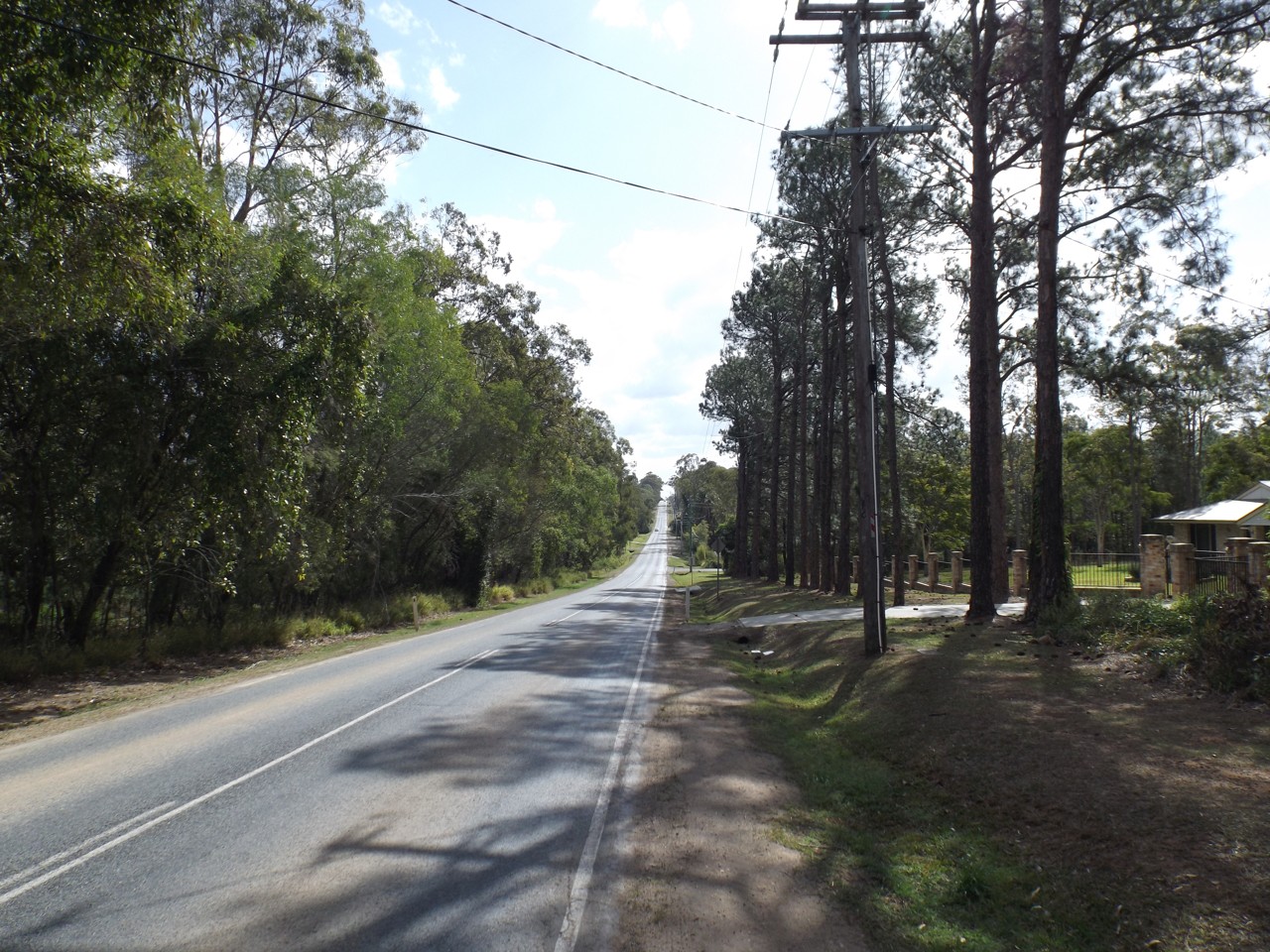 Park Ridge, QLD, Long country road lined with tall trees