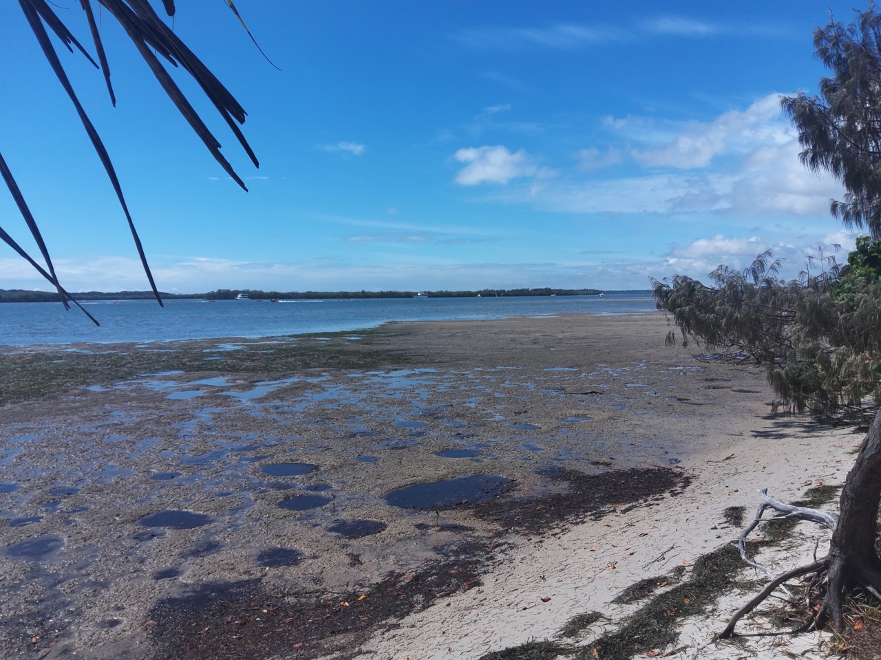 Pelican Waters, QLD, Sandy shoreline along a calm bay
