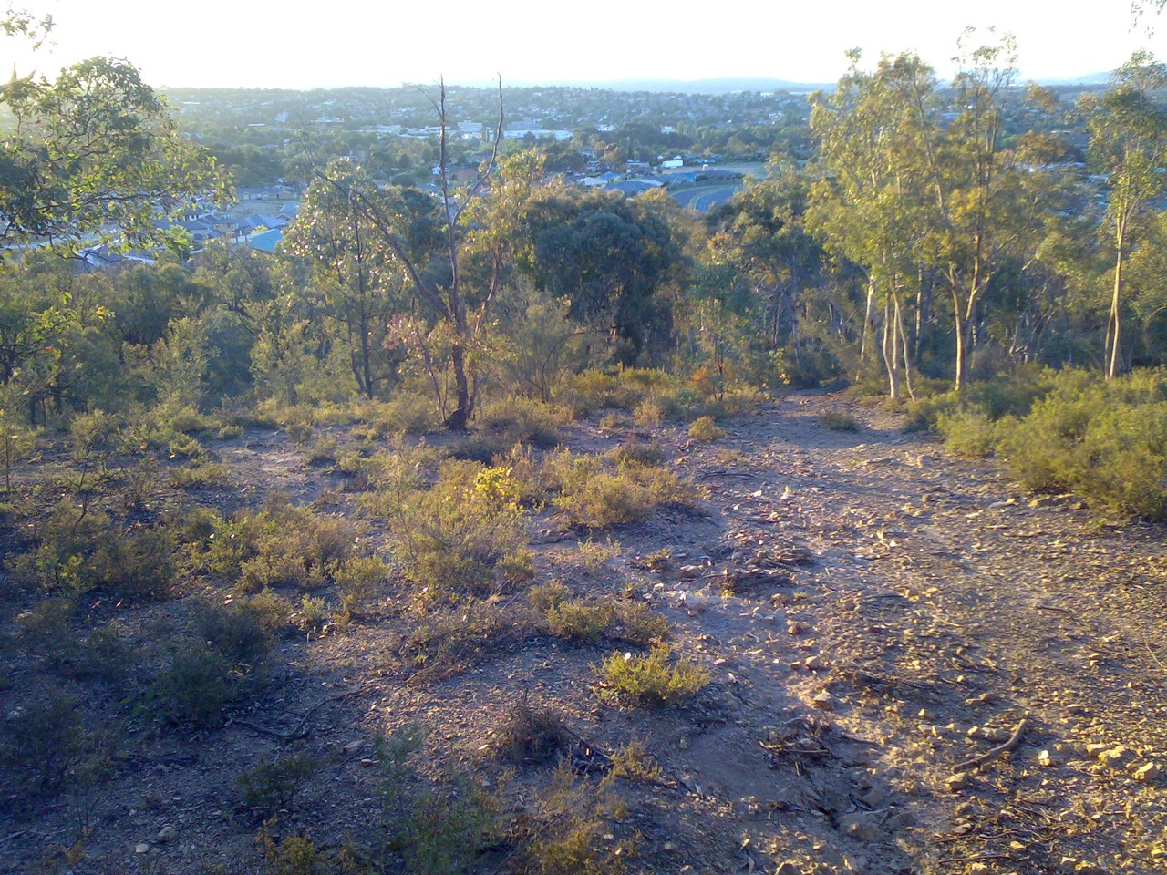 Queanbeyan East, NSW, Bushland with trees overlooking distant town view
