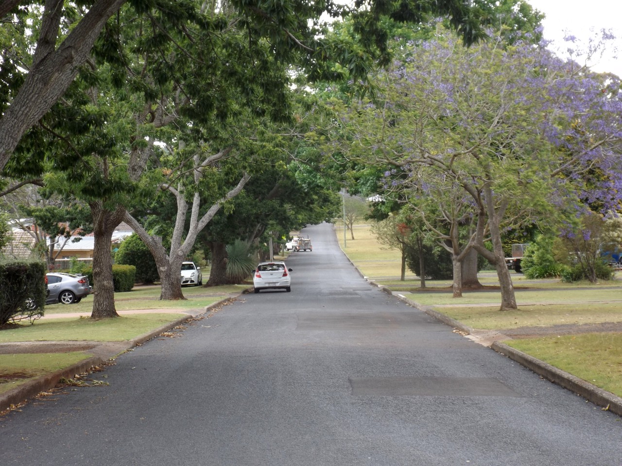 Rangeville, QLD, Tree-lined suburban street with parked cars