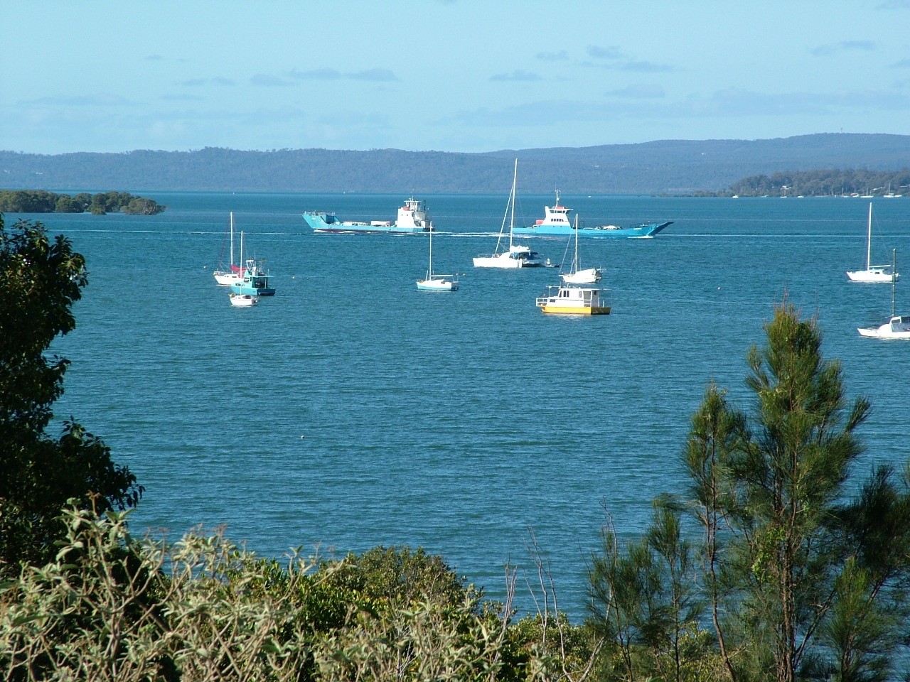 Redland Bay, QLD, Sailboats and ferries on a calm bay