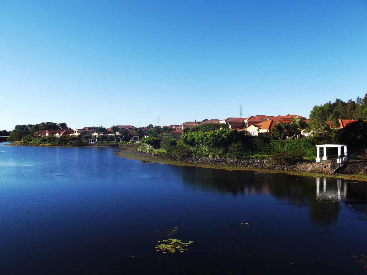 Robina, QLD, Houses along a lake with clear sky