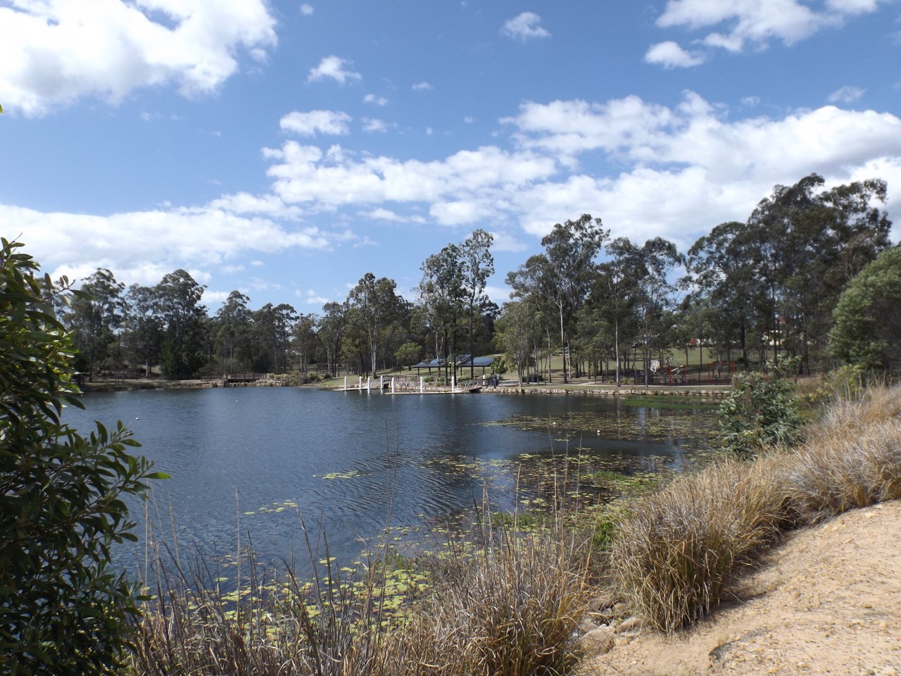 Springfield Lakes, QLD, Lake and trees under a cloudy sky