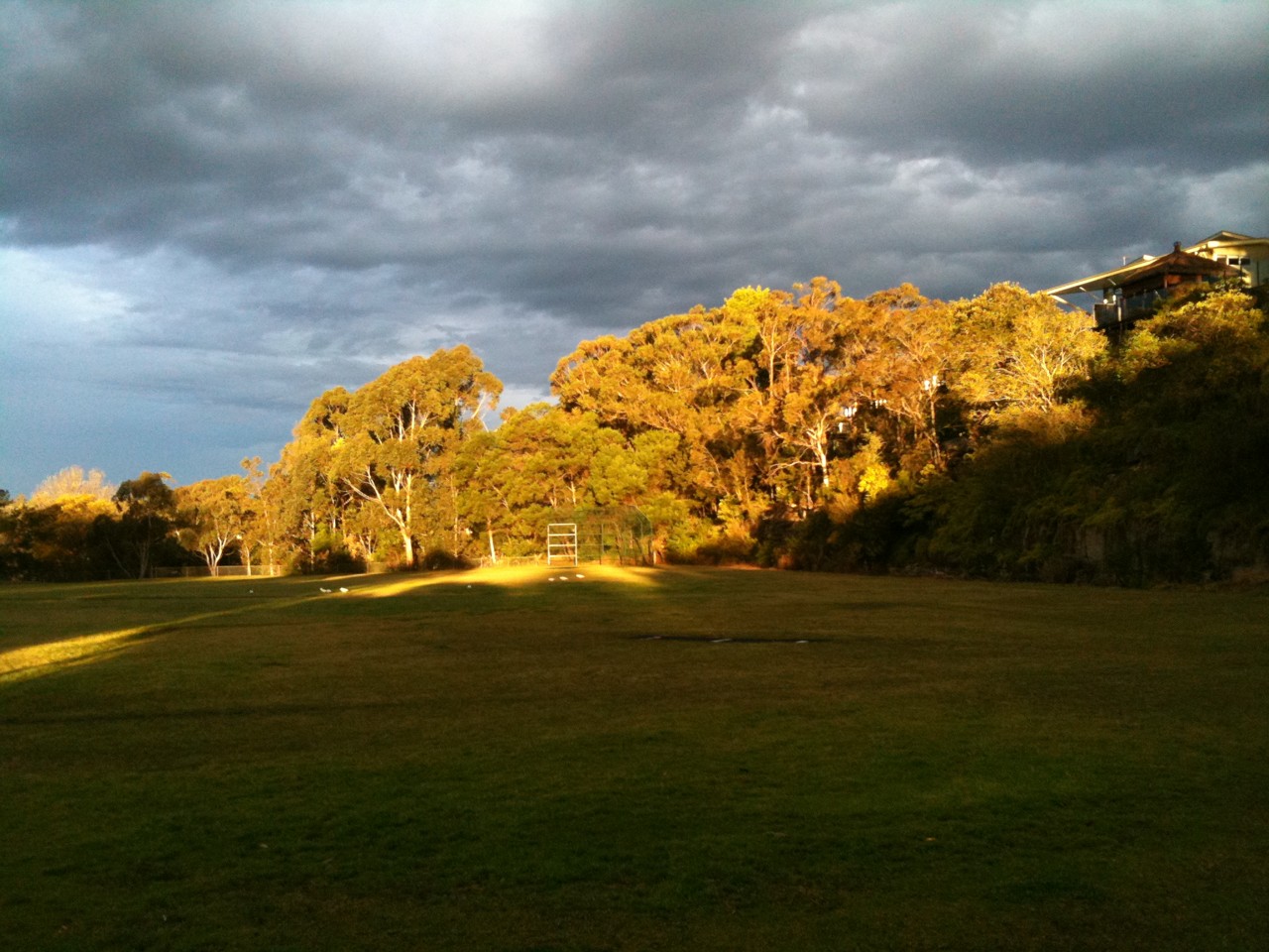 St Ives, NSW, Open field with trees and stormy sky