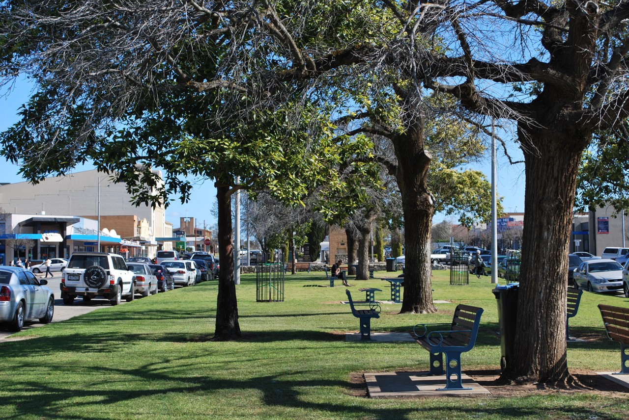 Swan Hill, VIC, Tree-lined street with benches and parked cars