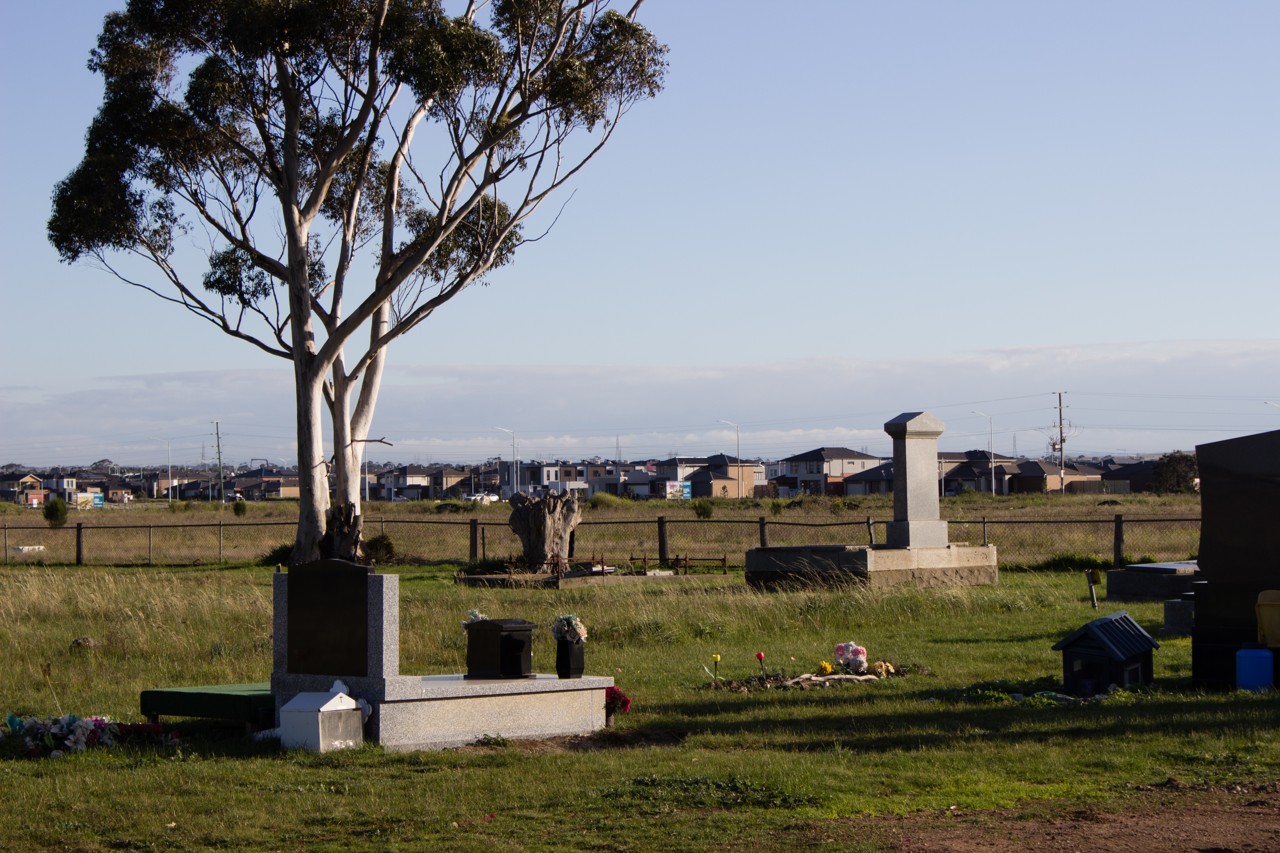 Truganina, VIC — Cemetery with graves and a eucalyptus tree