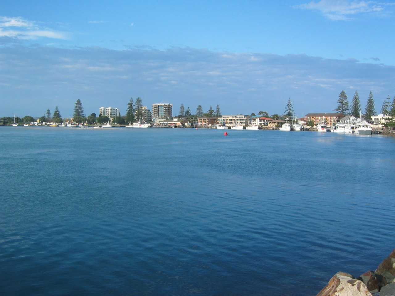 Tuncurry, NSW, Boats moored along the shoreline with buildings