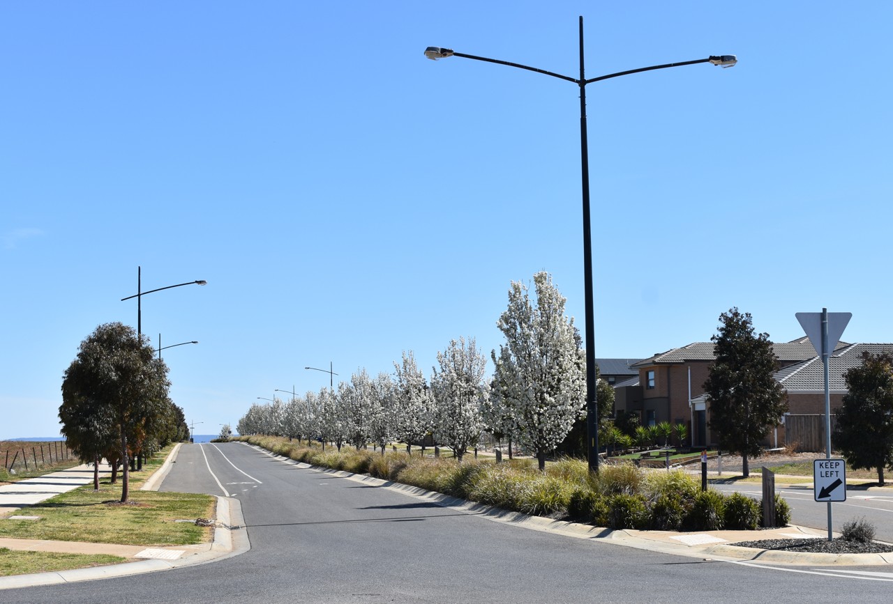 Weir Views, VIC, Residential street with trees lining the road