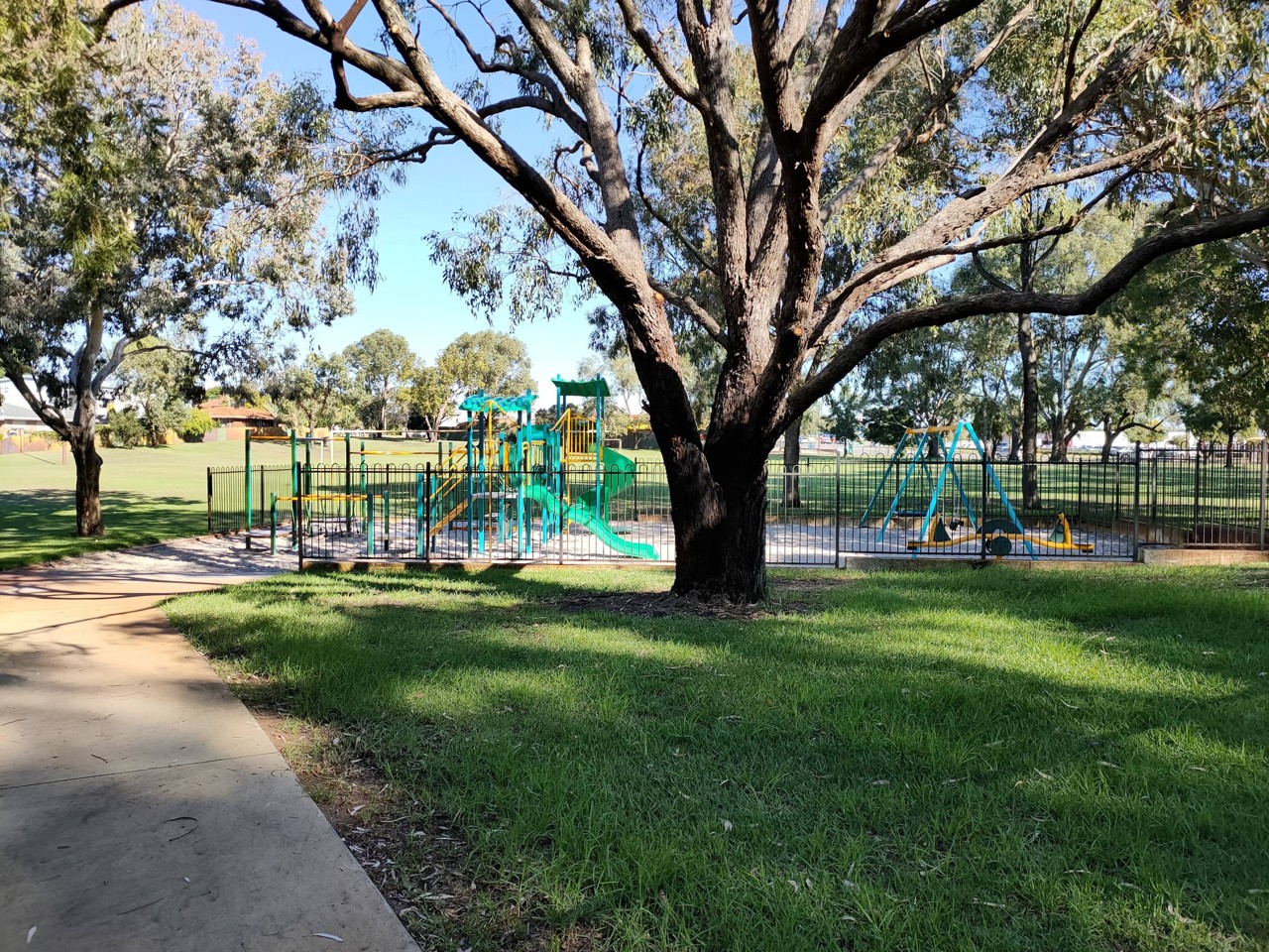 Westminster, WA, Children's playground under large tree in park
