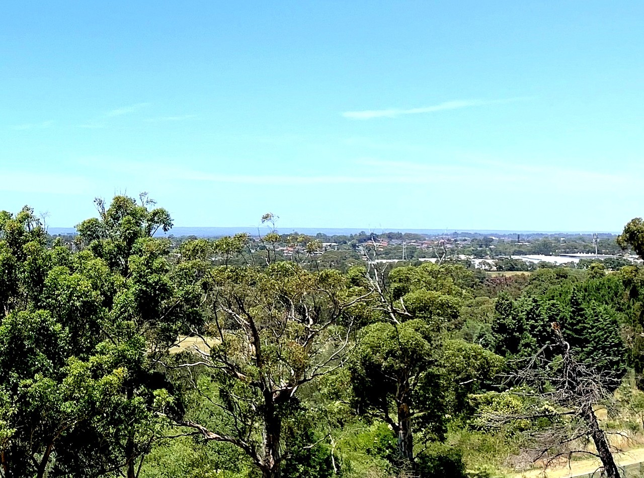 Wetherill Park, NSW, Distant cityscape view with surrounding trees