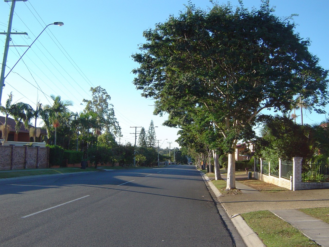 Wishart, QLD, Quiet suburban street with trees and houses