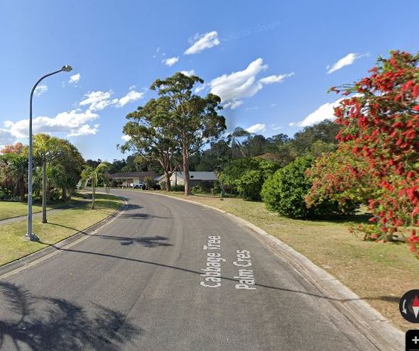 Cabbage Tree Palm Cr, Pelican from the kerb