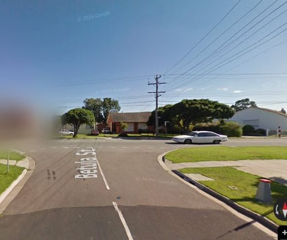Betula Street, Doveton from the kerb