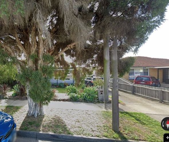 Street view of 36 Pavo St, Belmont VIC