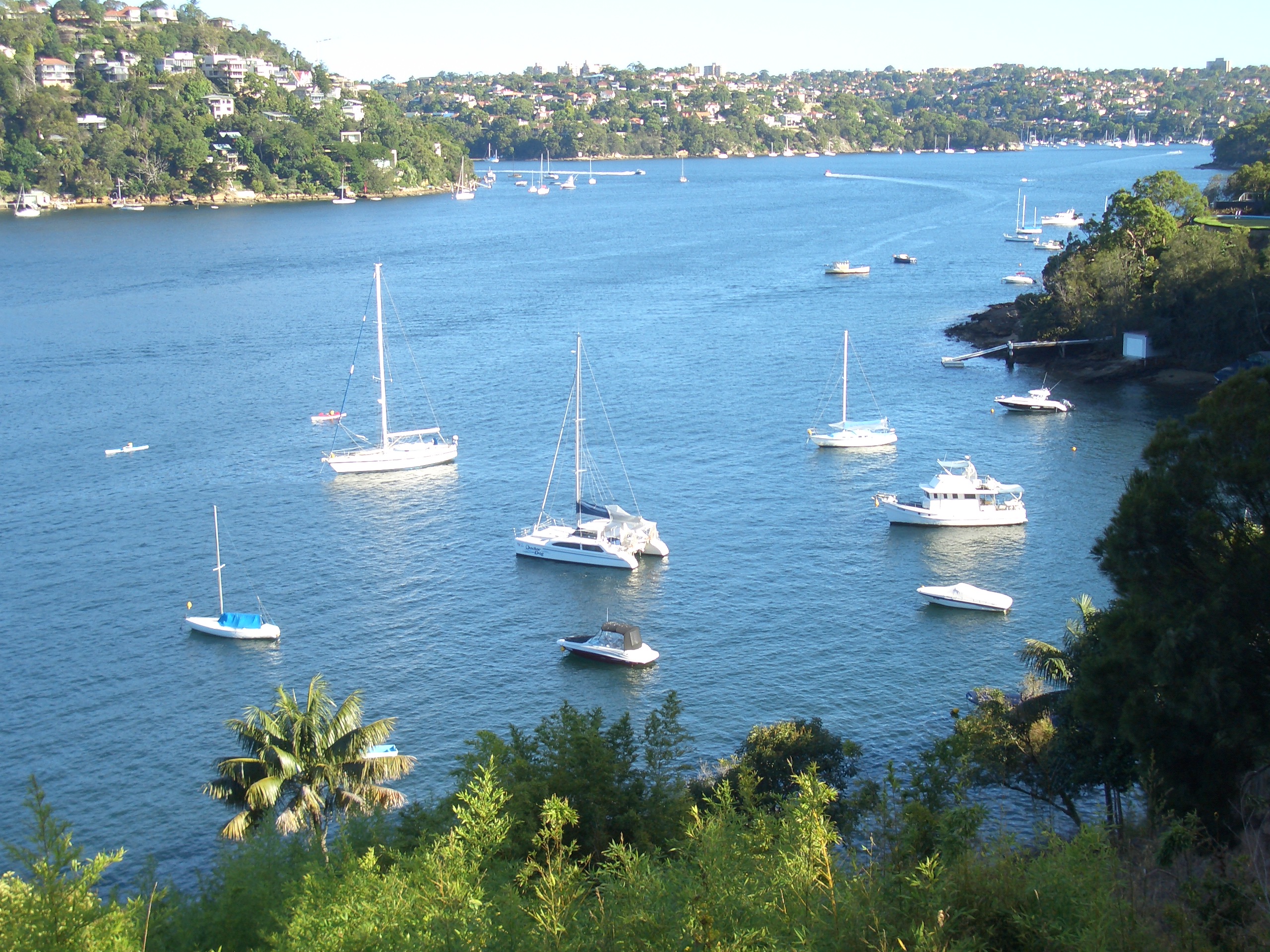 Middle Harbour view from Castlecrag